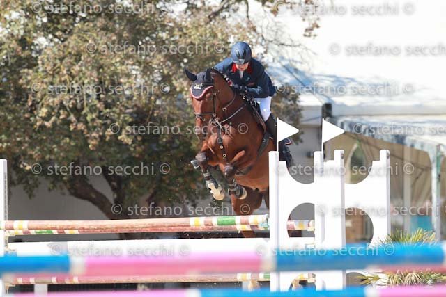 THOMAS_ARGUS_GIO CAV 2011_SS3_6936.jpg